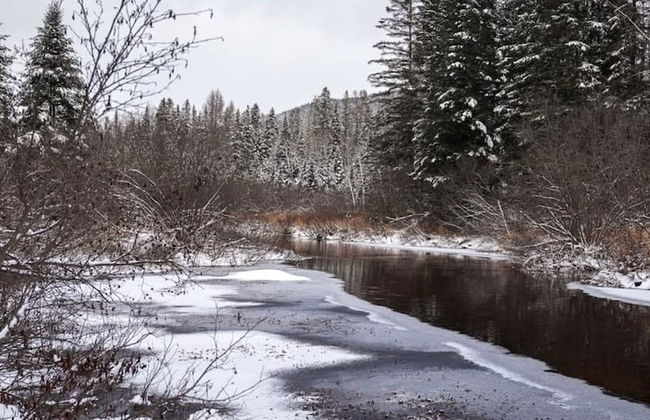 Le Grand Duc- SPA Sauna- Bord Rivi re Noire - Foto 40
