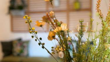 La Casa di Via Nervi - Photo 2