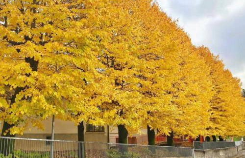 Residenza La Cascata - Foto 5