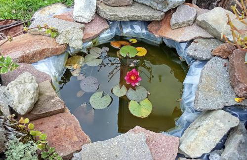 Casa della musica - Foto 11