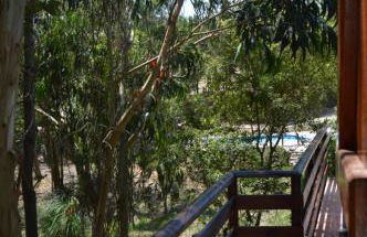 Quinta dos Mangues - Foto 11