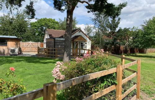 Field's Edge - Foto 6