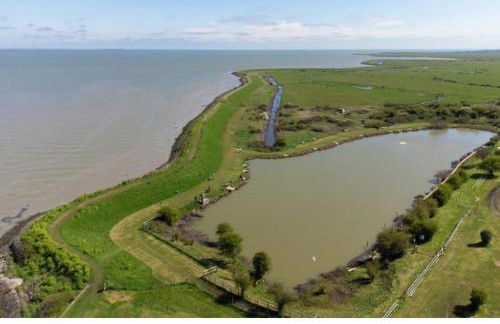 Newland's - Photo 18