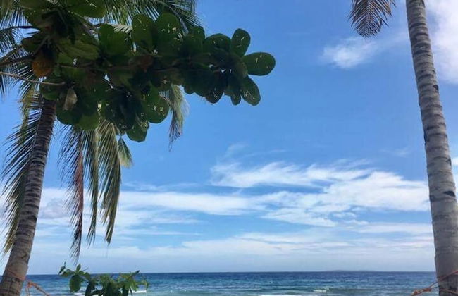 The Whitehouse by the Sea - Photo 53