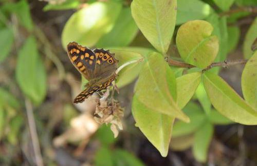 Battistina Holiday Home - Photo 10