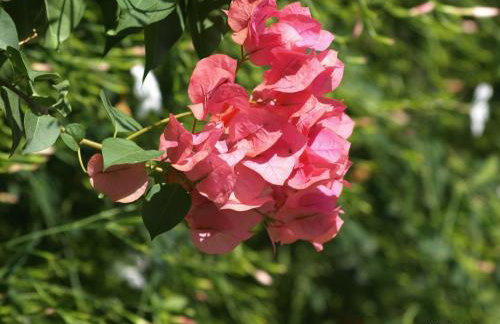 Villa Katerina - Photo 78