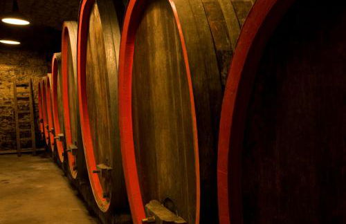 Ferienwohnung, Weingut Trockene Schmitts - Foto 6