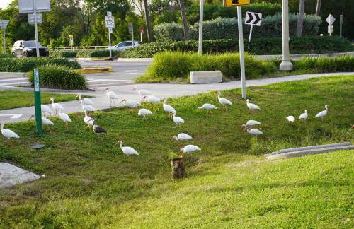 The Beach House - Foto 6