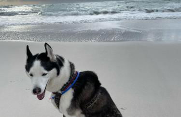 Verde Mare apartment Rosignano Marittimo - Foto 10