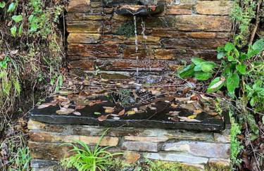 A Casa da Fonte - Foto 27