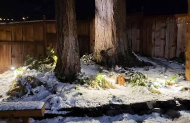 Knotty Shack- Unique Tiny Log Cabin with Hot Tub - Foto 23