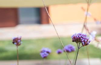 Agriturismo I Grappoli - Foto 32