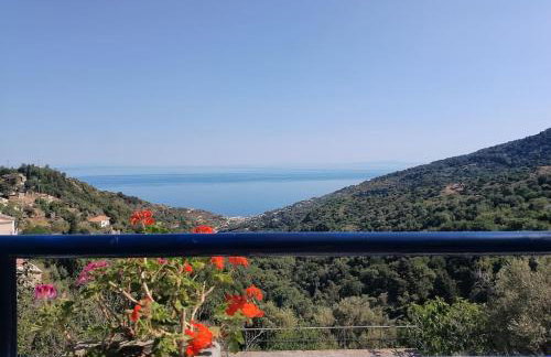 Blue Vista-Ikaria - Photo 4