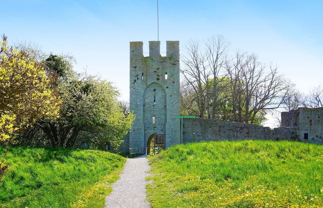 4 Person Holiday Home in Slite - Foto 29