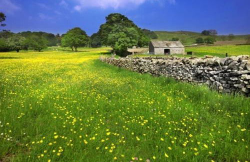 Linton Court Coach House - Foto 69