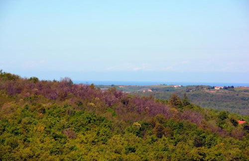 Art House Vižinada - Foto 24