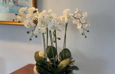 Tigh Chailein - Foto 11