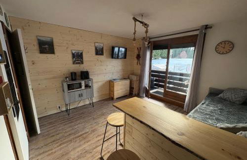 Appartement cosy à la montagne aux pieds des pistes pour 4 personnes et 1 bébé - Foto 15