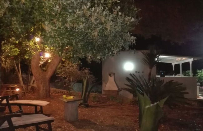 Villa Giulia - Photo 21