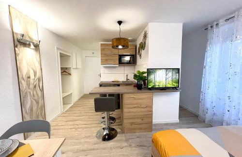 L 'Éclat Doré - Studio - Proche Gare - 2 P - Foto 6