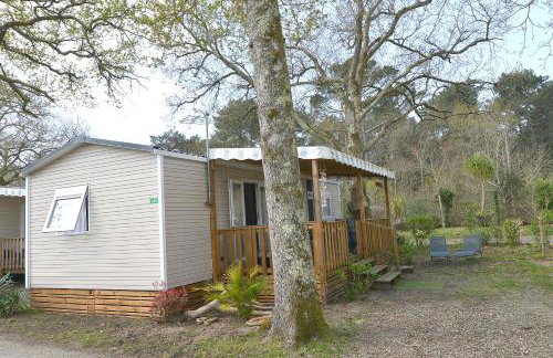 Entre Pins & Océan-15mn à pied - C'LA VIEconciergerie - Foto 26