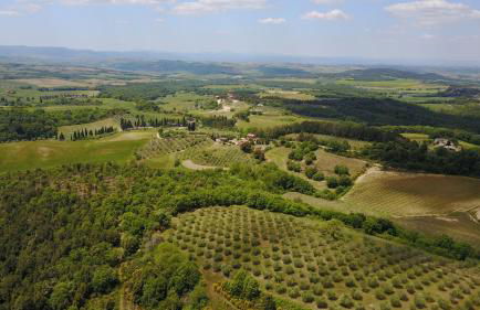 Tenuta Santo Pietro - Foto 66