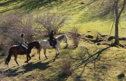 Alojamientos la Abuela - Foto 24