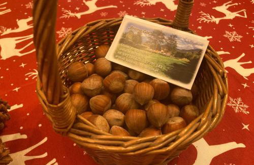 Holiday Home Tor der Berge - Hütte Wolf by Interhome - Foto 20