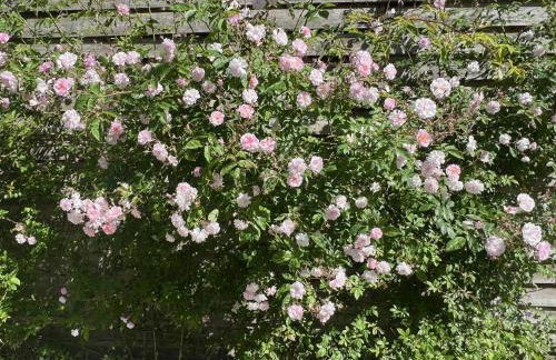 The Annexe at Fishponds - Photo 35