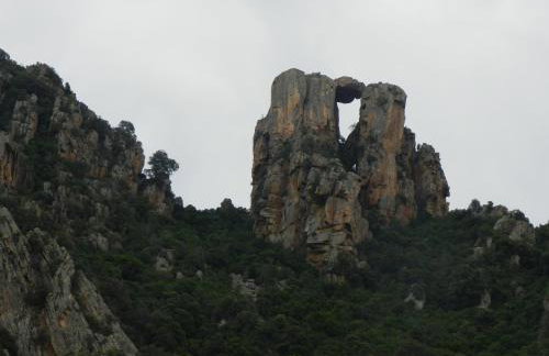 Les Asphodèles - Foto 22