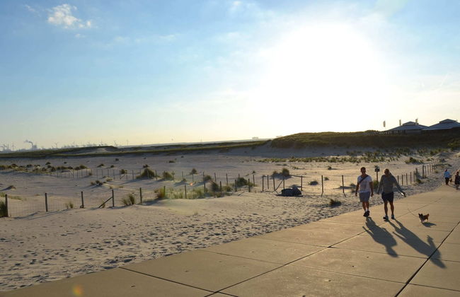 Bungalow in South Holland With Unique Design - Photo 32