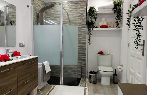 Alojamiento PLAZA CASCO HISTORICO - Foto 10