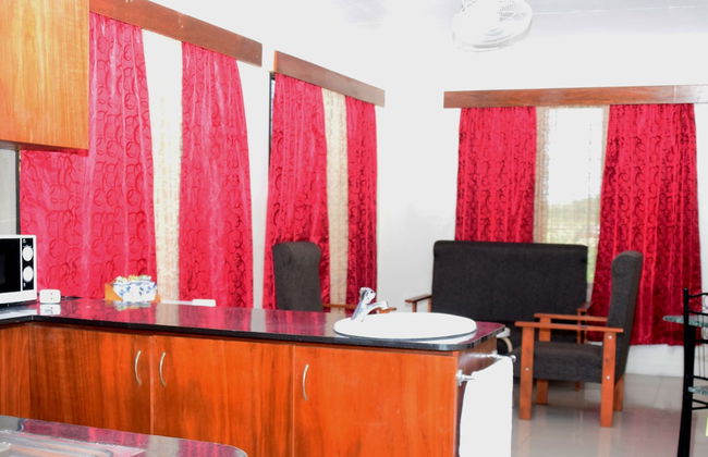 Narayan's Apartment - Photo 10