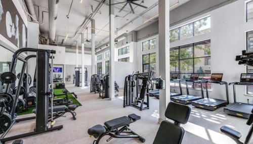 Softly Styled 1 King Sofa Bed Haven Frisco, TX - Foto 3