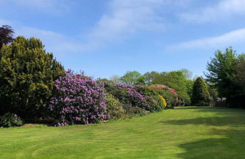 Woodside House - Foto 45