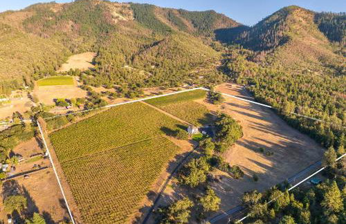 Starry Oak Vineyard Retreat w Hot Tub - Foto 48