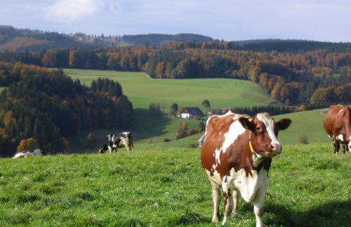 Baschijörgenhof - Foto 13