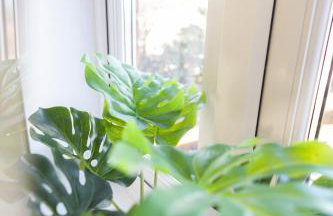 Garden House near shops in quiet location - Foto 14