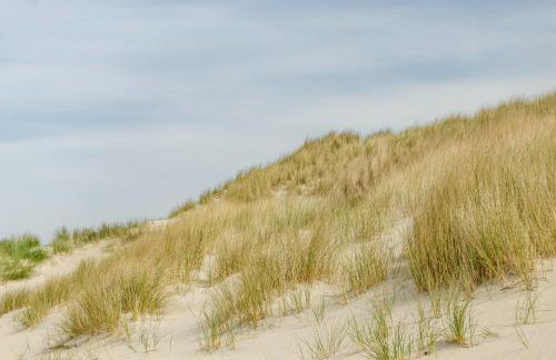 Strandhus Uiterst-hörn Treibholz - Photo 35