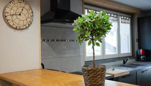 Chalet les 4 saisons - Ski, parking et jardin - Foto 3