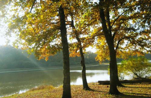 SAS Le Hameau des Grilles - Foto 7
