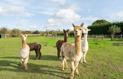 Willow Cottage in idyllic location - Foto 8