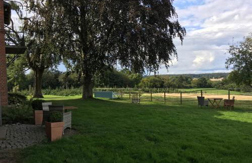 Ferienwohnung 1 Hof Flüh - Foto 12