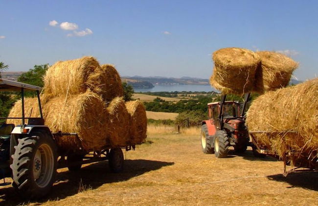 Country Relais I Due Laghi - Photo 45