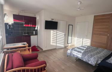 STUDIO 50m de gare de st-louis - Photo 10