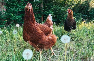 Alte Schule Brandenburg - Photo 29