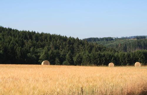 Cabin in Meiserich with swimming pool - Foto 20