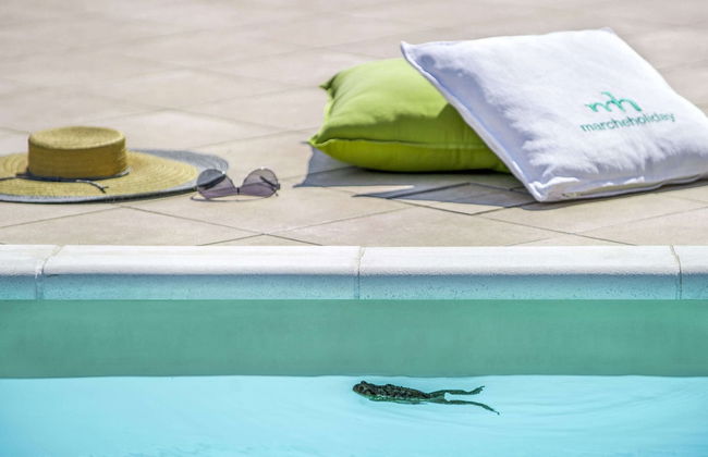 Holiday Home in Belforte With Pool - Foto 9