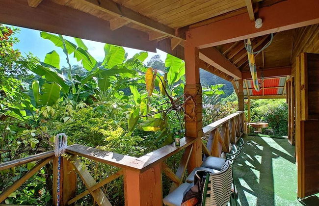 Berkey's Jungle Paradise - Photo 30