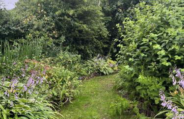 Apple Cottage - Photo 39